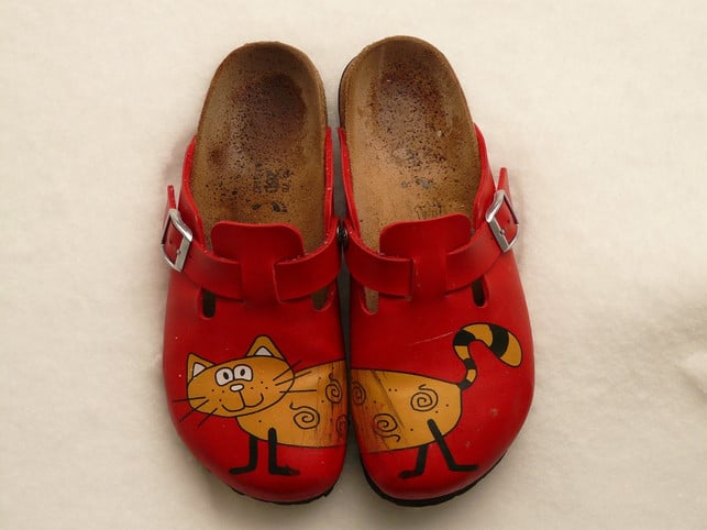 mit-der-richtigen-pflege-halten-deine-birkenstock-cc0-pixabay-hans-210922_download Mit der richtigen Pflege halten deine Birkenstocks besonders lange.