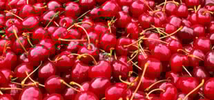 kirschen bauchweh