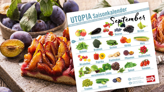 saisonkalender-utopia-september-cpb-200522-1280x720 Saisonkalender September