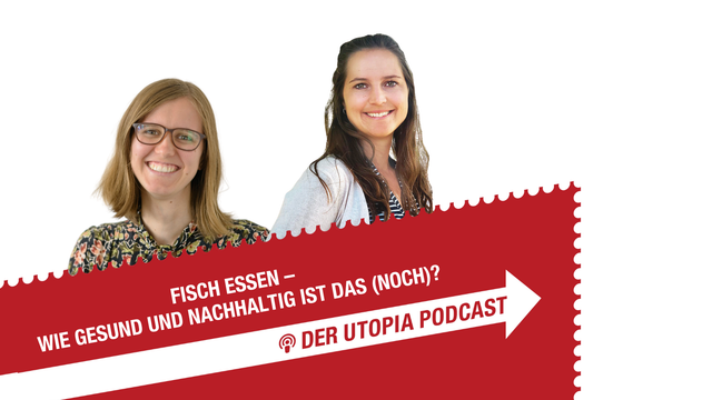 Podcast-fisch-essen-Artikelbild Utopia-Podcast: Wie gesund ist Fisch essen?