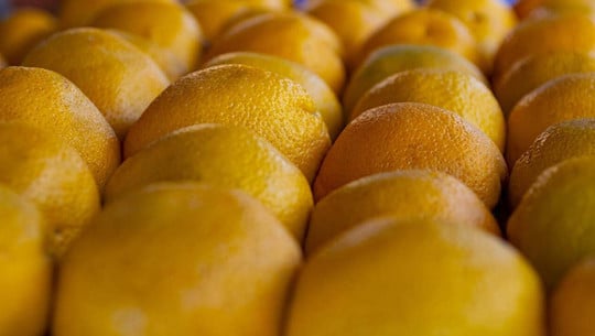 orangen-lagern-cc0-pixabay-debannja-231219 orangen lagern