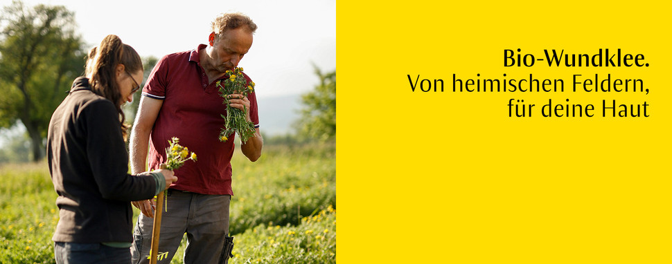 Dr Hauschka Limited Edition Bio-Wundklee Hautpflege