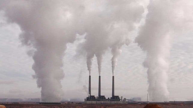 Wegen CO2-Mangel: Fleischverband warnt vor "Tierschutzproblem" und Lieferengpässen CO2-Ausstoß
