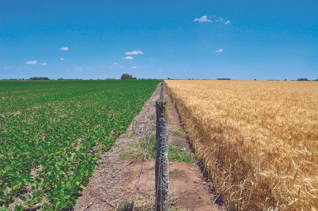 sojamehl-solltest-du-nur-aus-europaeischer-bio-land-cc0-pixabay-solboechi-200410_download Sojamehl solltest du nur aus europäischer Bio-Landwirtschaft kaufen.