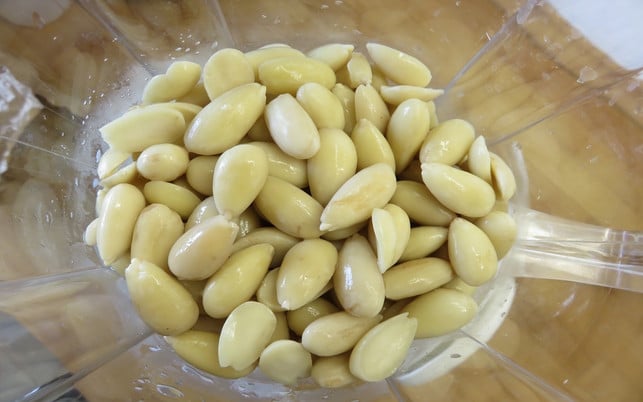 mandeln-vor-dem-mixen-k-inerle-utopia-170623 Um Mandelmilch selber zu machen brauchst du einen Hochleistungsmixer.