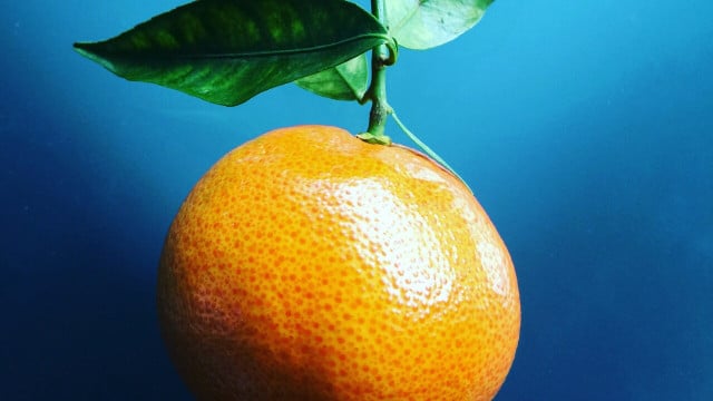 satsumas-cc0-unsplash-madalina-batlan-241022 satsumas