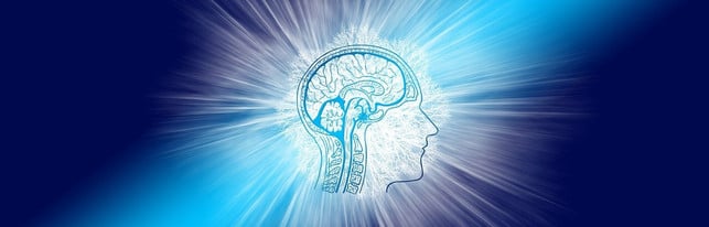 das-hungerhormon-ghrelin-sendet-deinem-koerper-sign-cc0-pixabay-geralt-220118_download Das Hungerhormon Ghrelin sendet deinem Körper Signale, wenn dein Körper Energie benötigt.