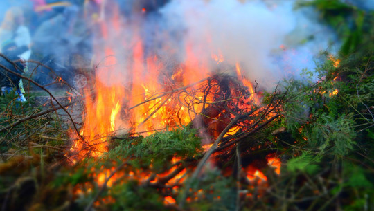 gartenabfaelle-verbrennen-warum-das-keine-gute-ide-cc0-pixabay-crazypitbull-221203 Gartenabfälle verbrennen: Warum das keine gute Idee ist