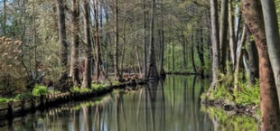 spreewald reisen deutschland