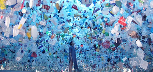 Instagram Plastik Ausstellung Fische