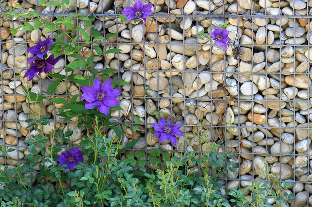 gabionen-sind-eine-moeglichkeit-der-baulichen-hangb-cc0-pixabay-sushuti-211129_download Gabionen sind eine Möglichkeit der baulichen Hangbefestigung.