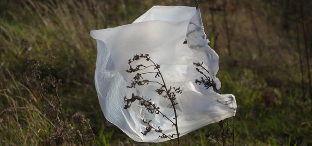plastiktuete-x-davebleasdale-180515-1280x600 Plastik Plastiktüte Tiefsee Boden Ozean