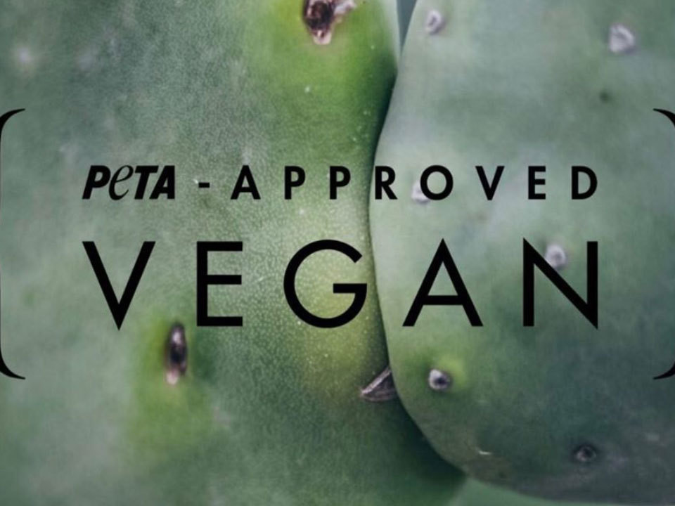 Desserto: Veganes Leder aus Kaktus