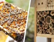 Bienen helfen und ein Bienenhotel aufstellen