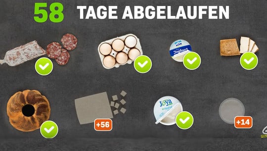 mindesthaltbarkeitsdatum-test-greenpeace-screenshot-youtube-181218-1280x600 Mindesthaltbarkeitsdatum Test: So lange halten Lebensmittel wirklich