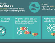Plastikmüll zerstört unsere Meere