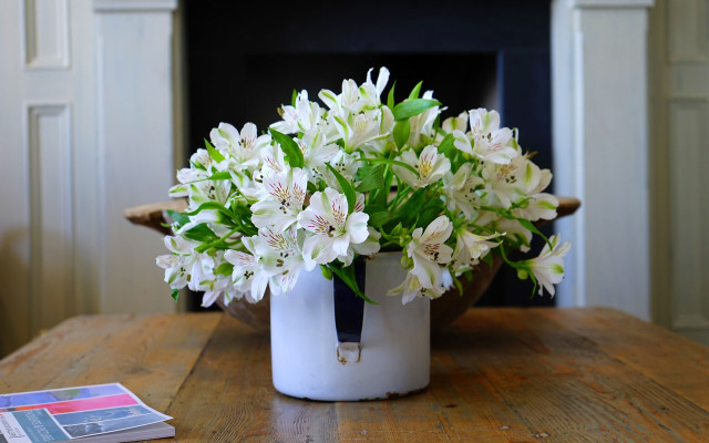 topf vase topf vase