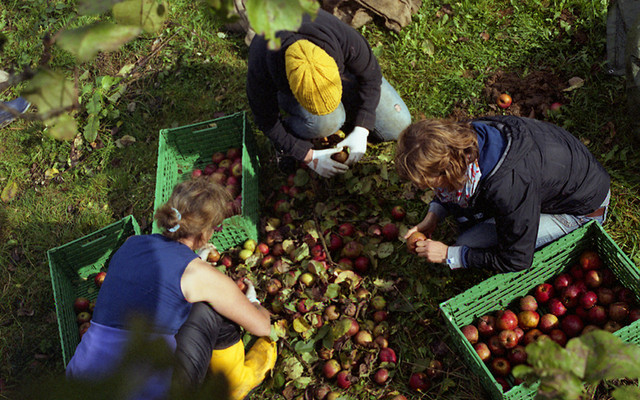 gemues-ohne-garten-z-mundraub.org-mundraub.org-AnkeSchuettler.com-170308-960x600 Obst retten