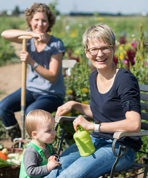 meine ernte im Gemüsebeet