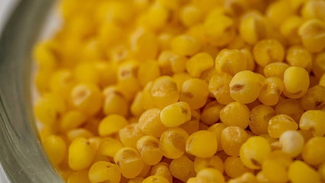 hirse-kochen-cc0-pixabay-martin_hetto-220113 Hirse kochen