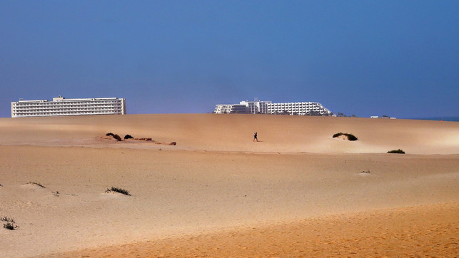 laut-planetary-health-koennte-2050-wasserknappheit-cc0pixabayybernardi-210403_download Laut Planetary Health könnte 2050 Wasserknappheit rund 40 Prozent der Weltbevölkerung betreffen.