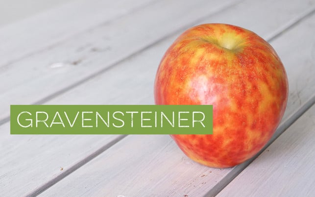 Apfelsorten bestimmen – Gravensteiner Apfelsorten bestimmen – Gravensteiner