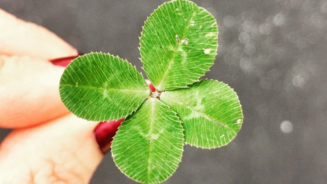 wv-freundlichkeit-unsplash-amy-reed-260520-1280x720-1