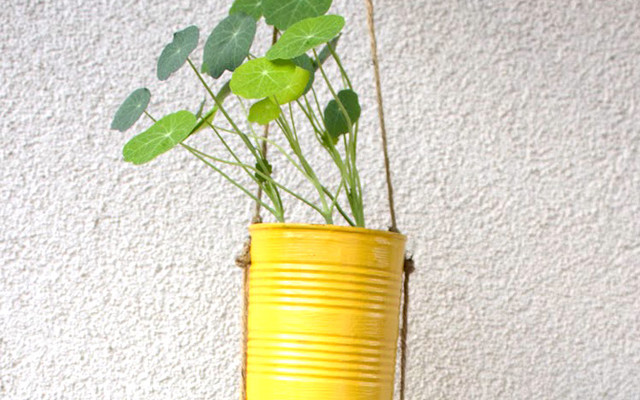 Upcycling-Idee: Von der Dose zum Blumentopf Upcycling-Idee: Von der Dose zum Blumentopf