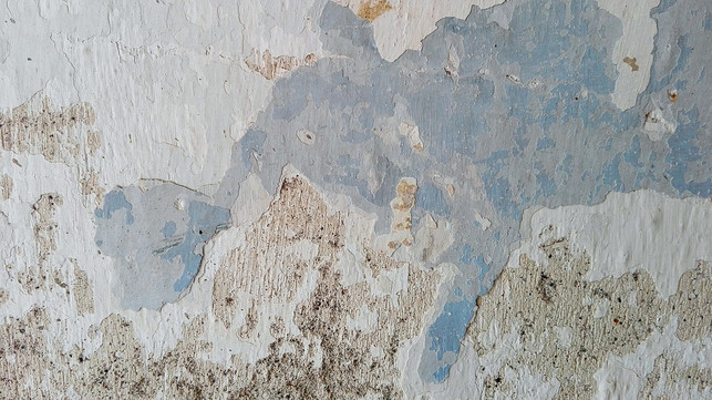 vor-dem-waende-streichen-solltest-du-den-untergrund-cc0-pixabay-jubeeli-180310_download Vor dem Wände streichen solltest du den Untergrund vorbereiten.