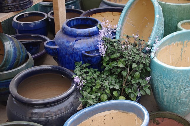 fuer-die-blumenzwiebel-lasagen-benoetigst-du-einen-a-cc0-pixabay-lisapadgett-241101_download Für die Blumenzwiebel-Lasagen benötigst du einen ausreichend großen Kübel.