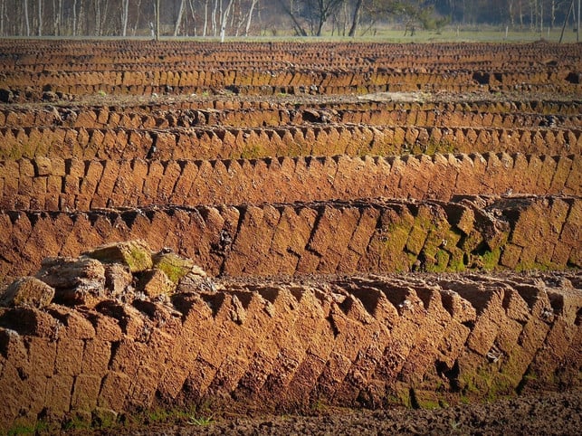 torfabbau-fuer-blumenerde-cc0-pixabay-bernswaelz-210602_download Torfabbau für Blumenerde