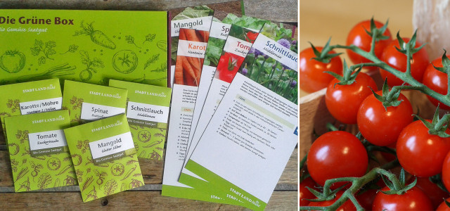 Die Grüne Box: Bio-Saatgut für Balkongemüse