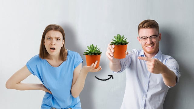 geschenk falsch zweite chance geschenk falsch zweite chance