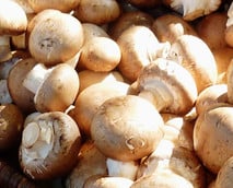 Champignons lagern: So bleiben sie länger frisch