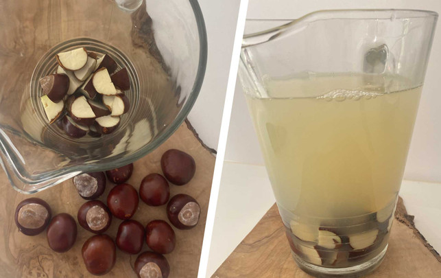 Waschmittel aus Kastanien selber machen: So geht's Kastanien mit Wasser auffüllen für DYI-Kastanien-Waschmittel