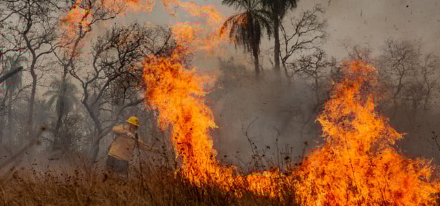 Waldbrand