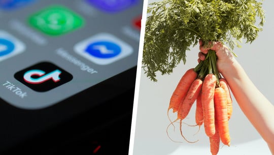 Social-Media-Trend: Gottesnahrung Social-Media-Trend: Gottesnahrung