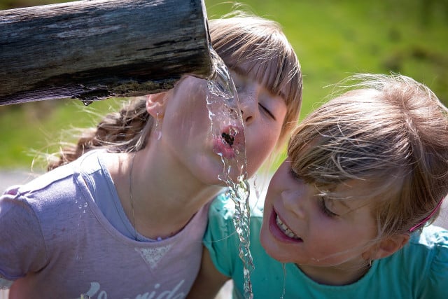 In summer, make sure you drink plenty of fluids!