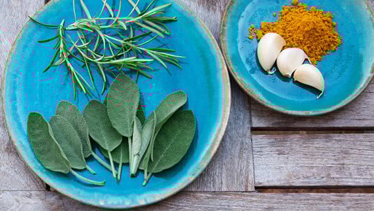 Diese Heilpflanzen sind natürliche pflanzliche Schmerzmittel und Antibiotika Diese Heilpflanzen sind natürliche pflanzliche Schmerzmittel und Antibiotika