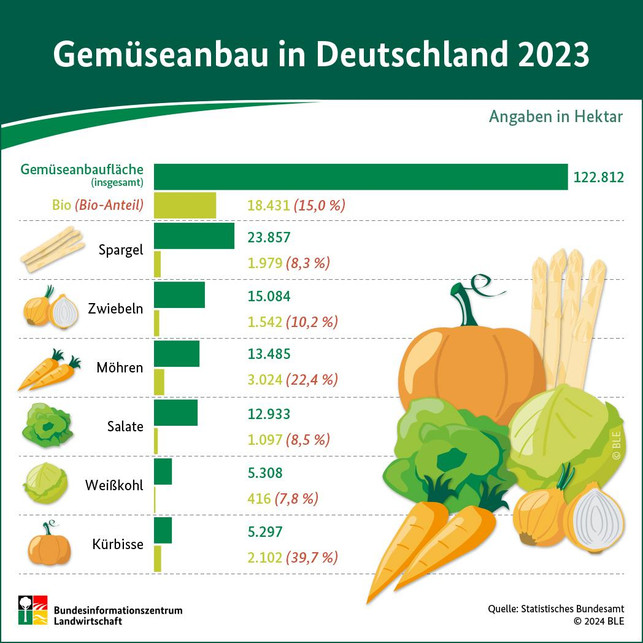 Spargelanbau-Gemueseanbau-bioanteil_2023-ble Spargel ist das am häufigsten angebaute Gemüse in Deutschland.