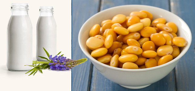 Lupinenmilch Milchersatz Lupinenmilch Milchersatz, vegan leben