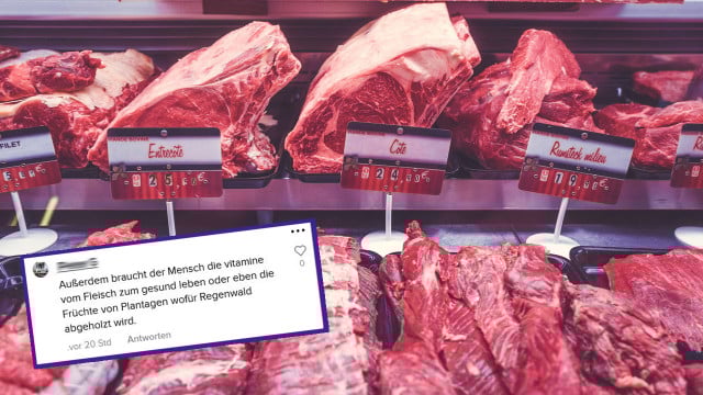 argumente-fleisch-essen-vegan-pb-Free-Photos-s-tiktok-2104151280x720 Argumente Fleisch essen, vegetarisch, vegan