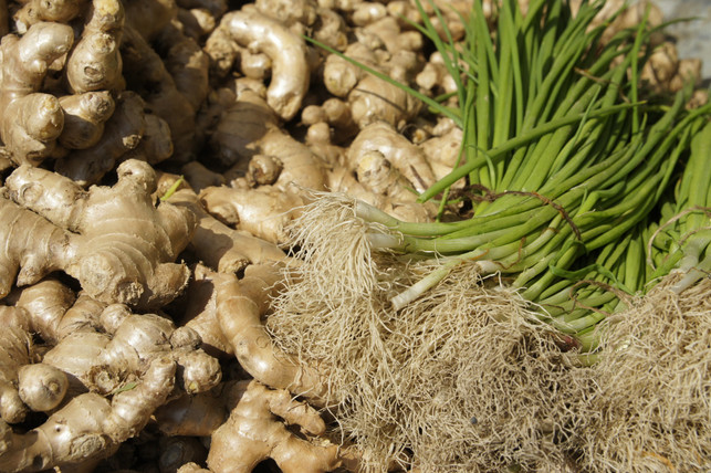 Gingerol-ITSTER-SAUSTMER-IN-ENGWER-CC0-Pixabay-Benardbags-25330_Download Gingerol is the healthy sharpener in the ginger.