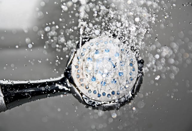 Viruses on showerheads are not a cause for concern for human health. 