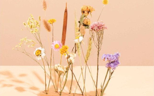 faire-blumen-trockenblumen-bloomon-210302-1280x800-1 Faire Trockenblumen von bloomon