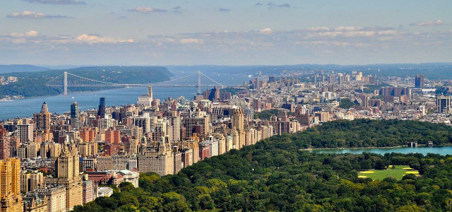 new york central park lab