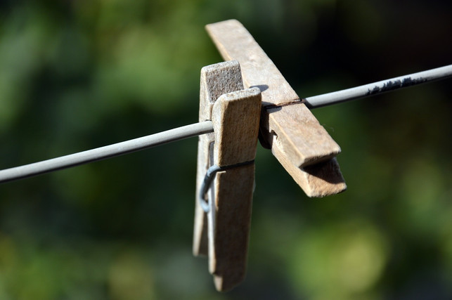 haenge-die-bienenwachstuecher-nach-dem-reinigen-an-h-cc0-pixabay-peggychoucair-241107_download Hänge die Bienenwachstücher nach dem Reinigen an Holzklammern zum Trocknen auf.