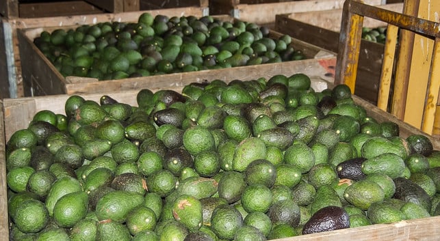 kaufe-avocados-nur-in-massen-um-deinen-oekologische-cc0-pixabay-sandid-220928_download Kaufe Avocados nur in Maßen, um deinen ökologischen Fußabdruck zu minimieren.