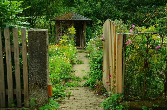 wiesenblumen-die-auch-ueber-die-wege-wachsen-typi-cc0-pixabay-congerdesign-220321_download Bei einem romantischen Garten kommt es auf die richtige Optik an.