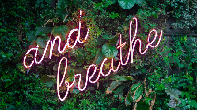 wv-freundlichkeit-unsplash-max-van-den-oetelaar-260520-1280x720-1